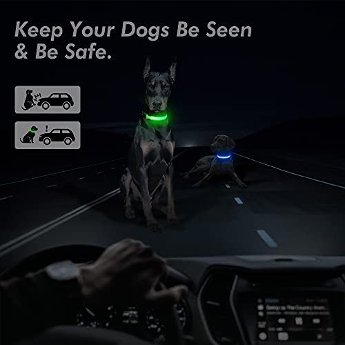 BSEEN Yansıtıcı LED köpek Tasması - Geceleri güvenli yürüyüş için Köpek Tasmalarını Aydınlatın-Süper parlak ışıklı