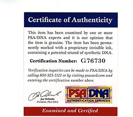 Brad Pitt Meksika 24x36 Poster İmzalı İmzalı Otantik PSA / DNA COA